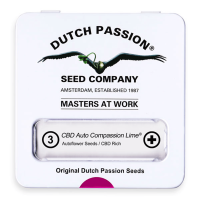 Dutch Passion Auto CBD Compassion Lime | Auto | Pack of 3
