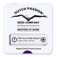 Dutch Passion Auto CBD White Widow | Auto | Pack of 7