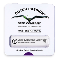 Dutch Passion Auto Cinderella Jack | Auto | 7er