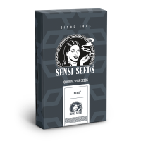 Sensi Seeds Big Bud | Auto | Pack of 3