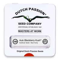 Dutch Passion Auto Blackberry Kush | Auto | Pack of 100 - on Order