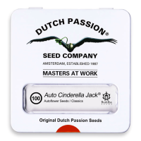 Dutch Passion Auto Cinderella Jack | Auto | Pack of 100 -...