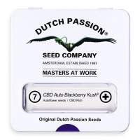 Dutch Passion Auto CBD Blackberry Kush | Auto | Pack of 7