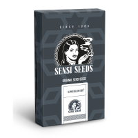 Sensi Seeds Alpine Delight CBD | Auto | Pack of 10