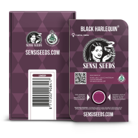 Sensi Seeds Black Harlequin | Fem | 10er -- Auslaufartikel - Solange der Vorrat reicht!