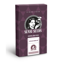 Sensi Seeds Satin Black Domina CBD | Fem | Pack of 3