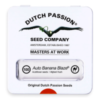 Dutch Passion Auto Banana Blaze | Auto | Pack of 100 - on...