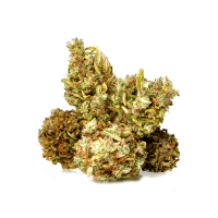 Budz Cannabis | Sissi | 2g
