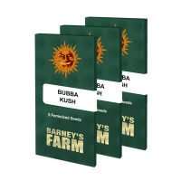 Barneys Farm Bubba Kush | Fem | 5er