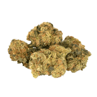 Budz Cannabis | Olympic Gold | 2g