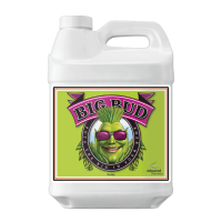 Advanced Nutrients Big Bud | 0,25l