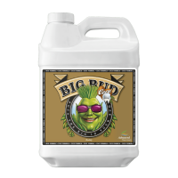 Advanced Nutrients Big Bud Coco | 10l