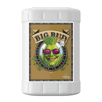 Advanced Nutrients Big Bud Coco | 23l