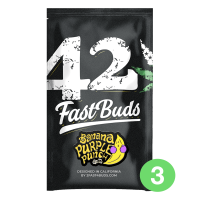 Fast Buds Banana Purple Punch | Auto | Pack of 3