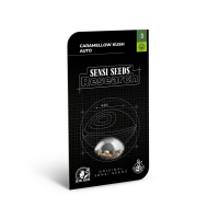 Sensi Seeds Caramellow Kush | Auto | Pack of 3