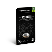 Sensi Seeds Caramellow Kush | Auto | Pack of 10