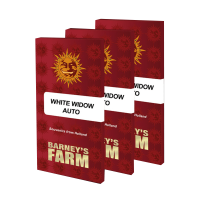 Barneys Farm White Widow | Auto | Pack of 5