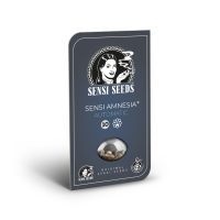 Sensi Seeds Sensi Amnesia | Auto | Pack of 10