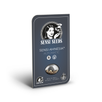 Sensi Seeds Sensi Amnesia | Auto | Pack of 5