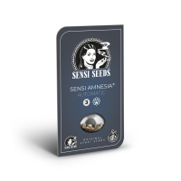 Sensi Seeds Sensi Amnesia | Auto | Pack of 3