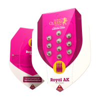 Royal Queen Royal AK | Fem | Pack of 100