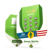 Royal Queen Green Gelato | Auto | 100er