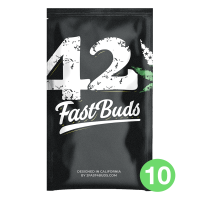 Fast Buds Blue Dreammatic | Auto | Pack of 100