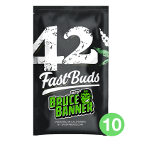 Fast Buds Bruce Banner | Auto | Pack of 100