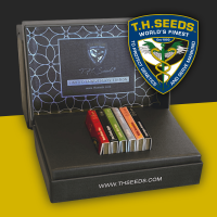T.H. Seeds 30-Year Anniversary Box | 6x6 Seeds | Fem