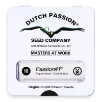 Dutch Passion Passion # 1 | Reg | Pack of 10