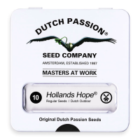 Dutch Passion Hollands Hope | Reg | Pack of 10