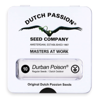 Dutch Passion Durban Poison | Reg | Pack of 10