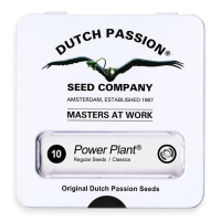 Dutch Passion Power Plant | Reg | Pack of 10