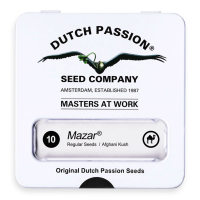 Dutch Passion Mazar | Reg | Pack of 10