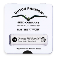 Dutch Passion Orange Hill Special | Reg | Pack of 10