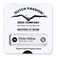 Dutch Passion White Widow | Reg | Pack of 10