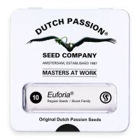 Dutch Passion Euforia | Reg | Pack of 10