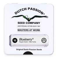 Dutch Passion Blueberry | Reg | Pack of 10