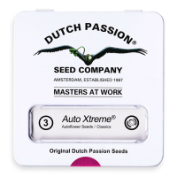 Dutch Passion Auto Xtreme | Auto | Pack of 3