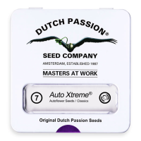 Dutch Passion Auto Xtreme | Auto | Pack of 7