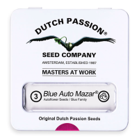 Dutch Passion Blue Auto | Mazar | Auto | Pack of 3
