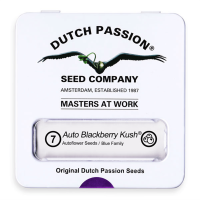 Dutch Passion Auto Blackberry Kush | Auto | Pack of 7
