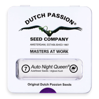 Dutch Passion Auto Night Queen | Auto | Pack of 7