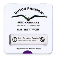 Dutch Passion Auto Brooklyn Sunrise | Auto | Pack of 7
