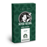 Sensi Seeds Shiva Shanti | Reg | Pack of 10