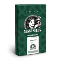 Sensi Seeds Ruderalis Skunk | Reg | Pack of 10
