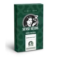 Sensi Seeds Northern Lights # 5 x Haze | Reg | Pack of 10