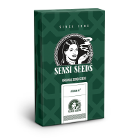 Sensi Seeds Afghani # 1 | Reg | Pack of 10