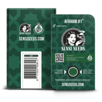 Sensi Seeds Afghani # 1 | Reg | Pack of 10
