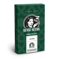 Sensi Seeds Black Domina | Reg | 10er